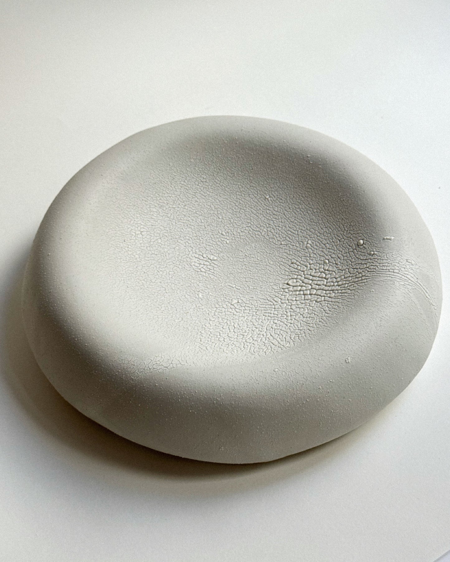 Snow Plate